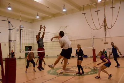 DSC_1814 (Large).JPG